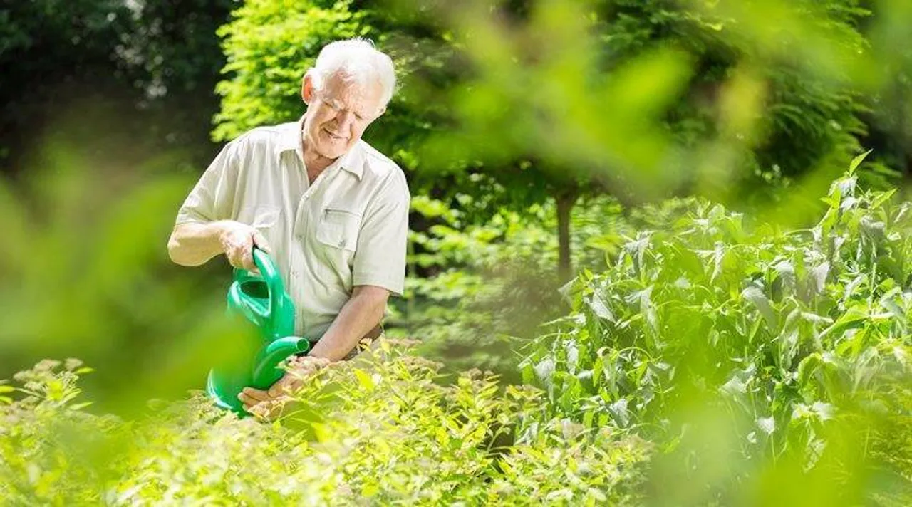 Gardening Tips for rainy season