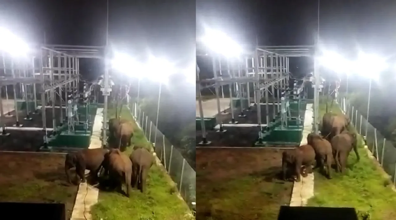Coimbatore: Wild elephants entered the power station video goes viral