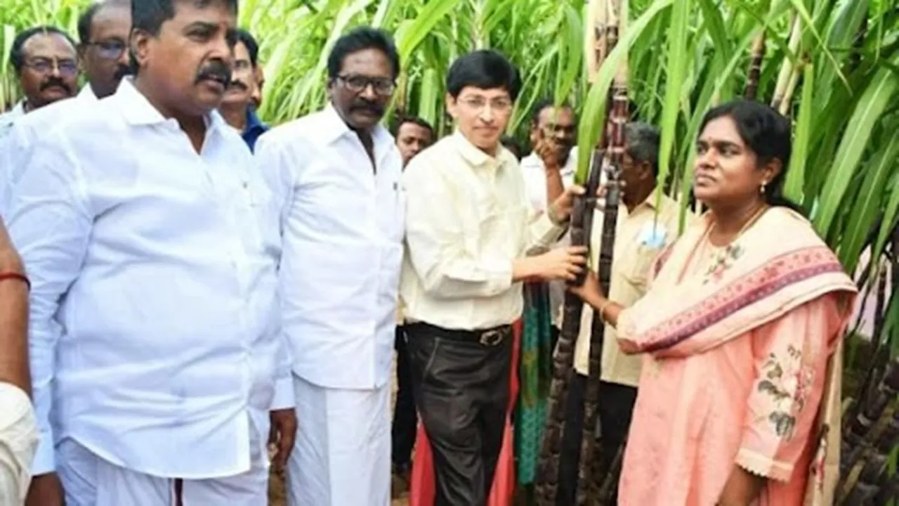 J Radhakrishnan inspection on procurement of Pongal gift sugarcane