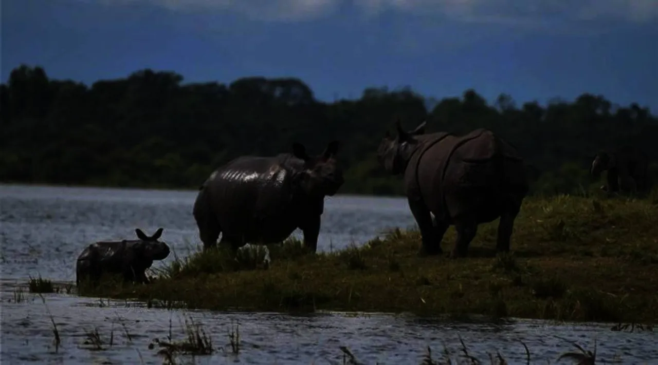 giant rhinos across Asia