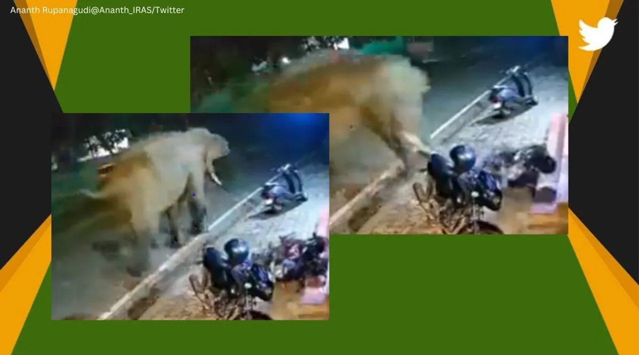 Ronaldo kick Elephant charges at bike parked on road