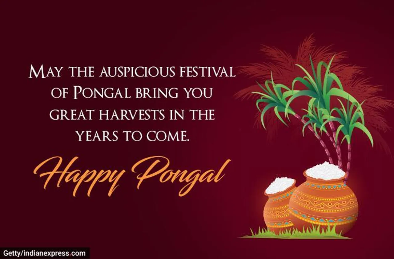 Happy Pongal 2023 Wishes