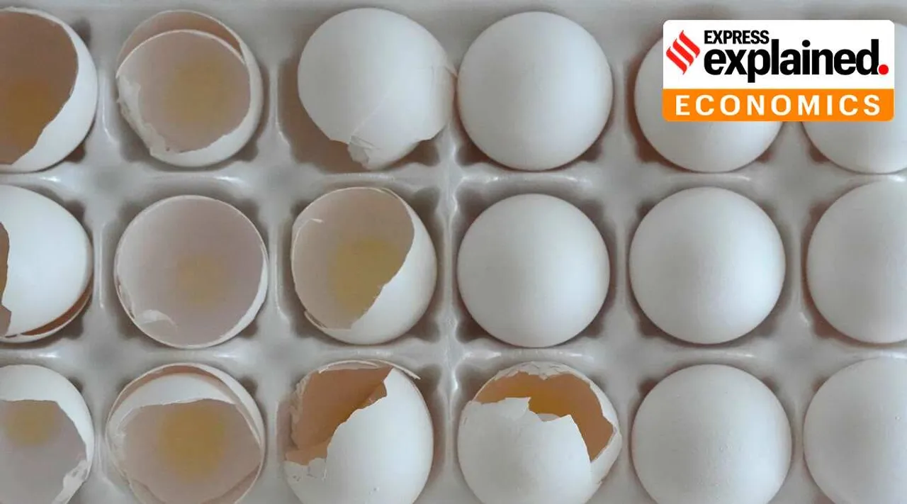 While inflation has eased why are eggs still so expensive in the US