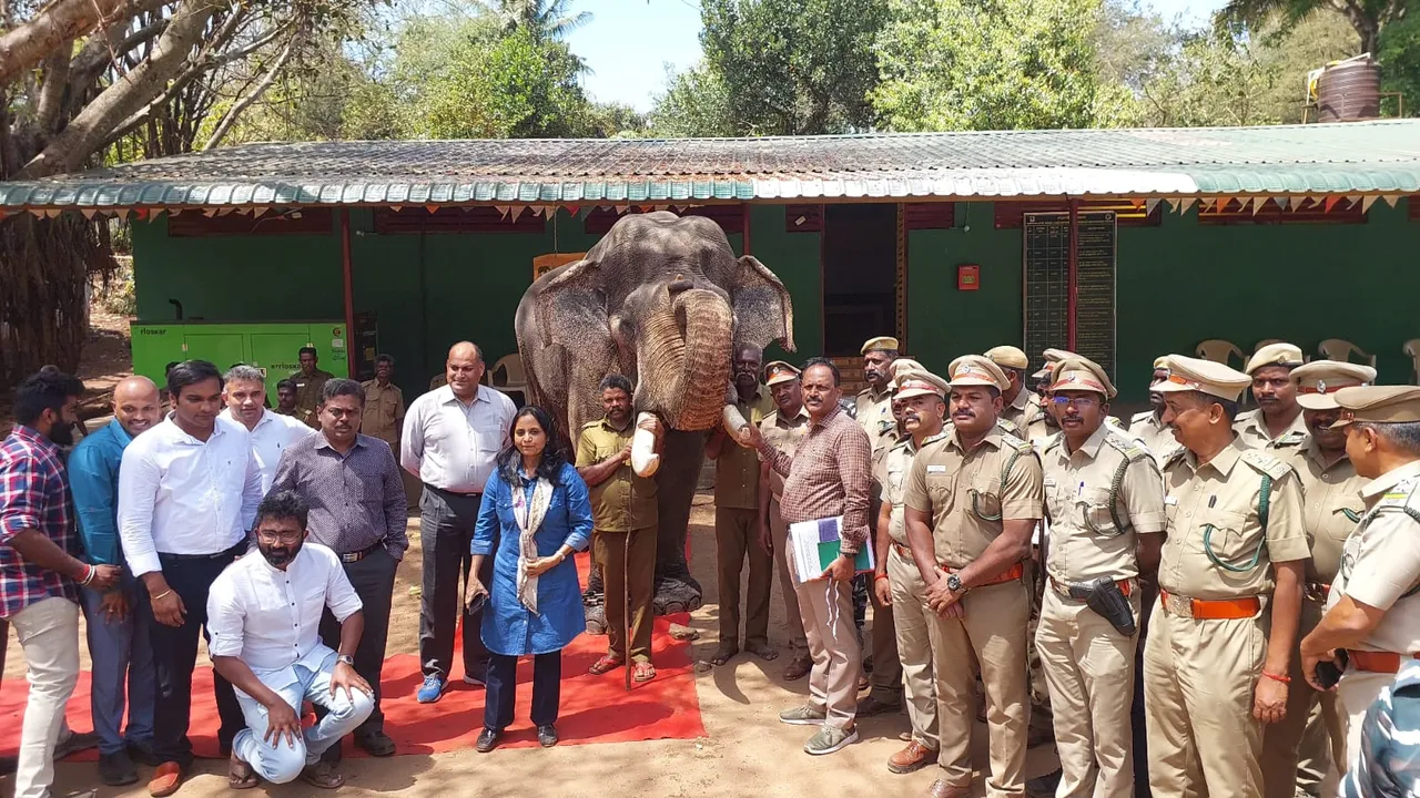 60 வயது யானைக்கு பிரிவு உபச்சார விழா: வனத்துறையினர் கொடுத்த ஸ்பெஷல் மரியாதை