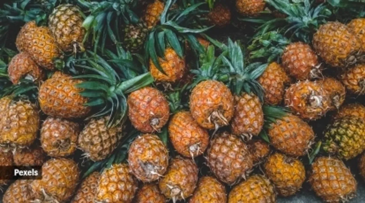Pineapple fruit prevents cancer