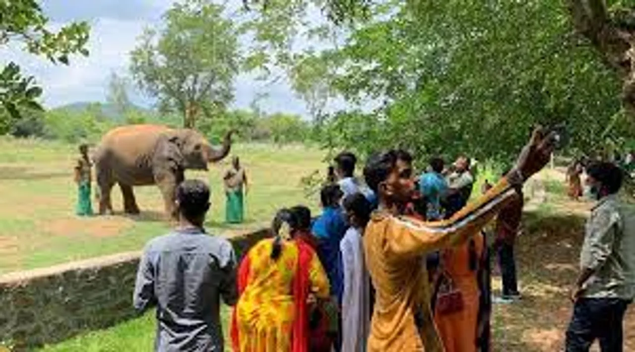 vandalur zoo