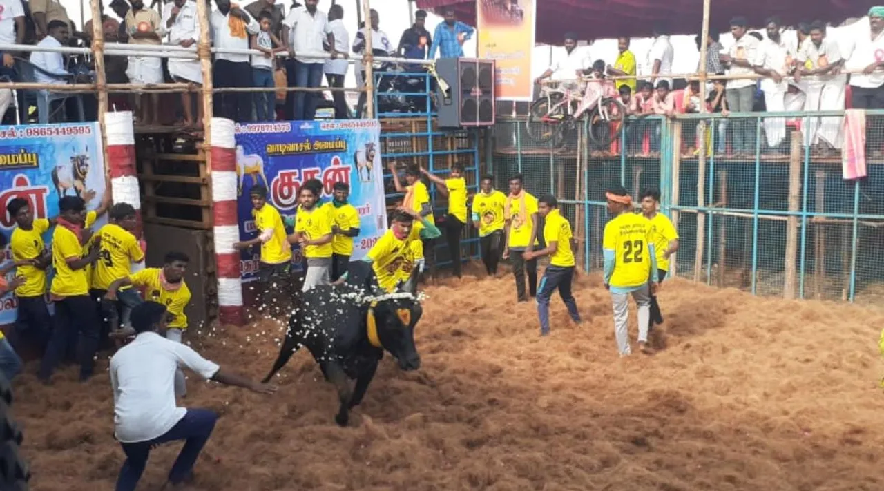 Kattur Jallikattu, Tiruchirappalli, காட்டூர் அருகே ஜல்லிக்கட்டு, டோக்கன் வழங்குவதில் குளறுபடி, போலீசார் தடியடியால் பதற்றம் - Kattur Jallikattu token issue police Lathi chagres