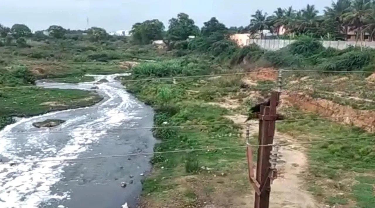 Noyyal river