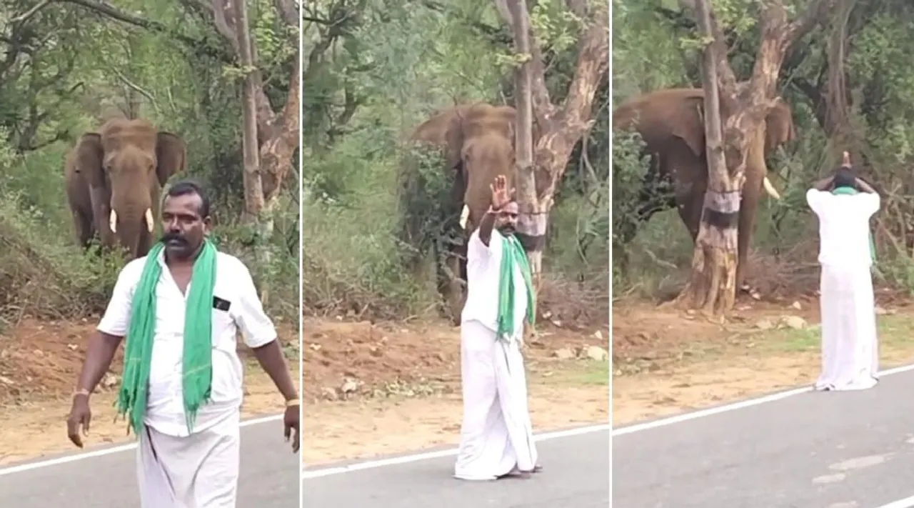 Dharmapuri: Man arrested and fined for bowing to wild elephant Tamil News