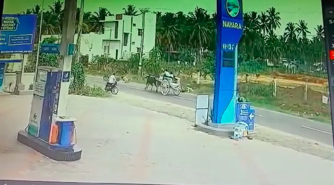 Coimbatore road Accident, caused by cow: Wife dies in front of husband; CCTV footage Tamil News