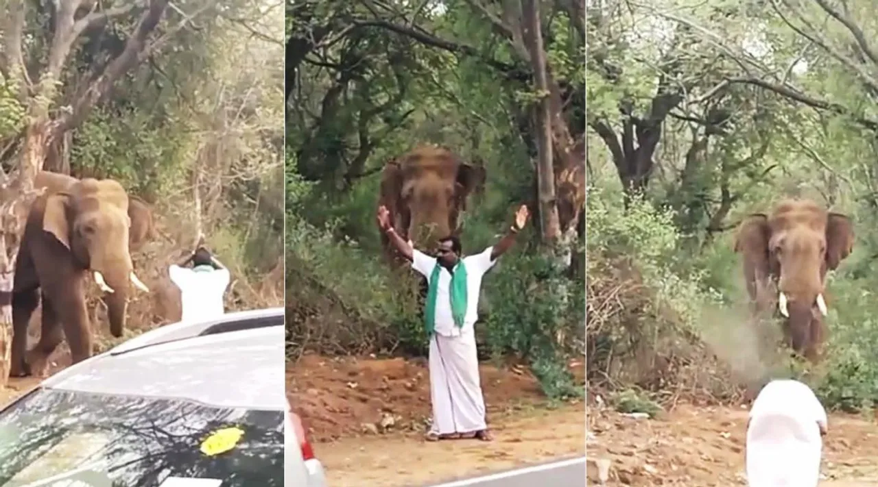 farmer stopped wild elephants video, wild elephants, சாலையை மறிக்க வந்த காட்டு யானை; காட்டு யானையை வணங்கி டிராஃபிக்கை கிளியர் செய்த விவசாயி, வைரல் வீடியோ, wild elephants, farmer stopped wild elephatns and does traffic clear video goes viral