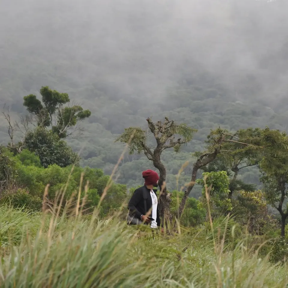 kolli hills