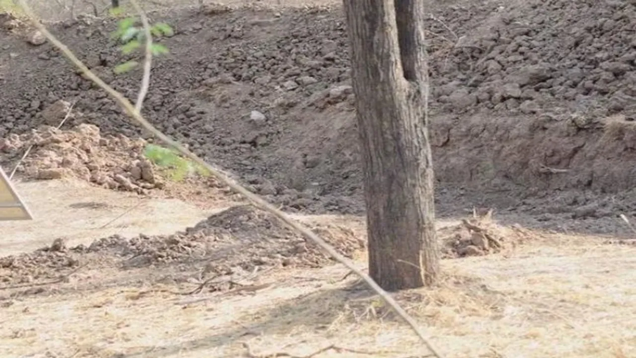 Spot the cheetah in 8 seconds