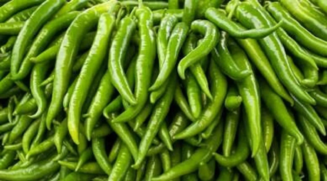 green chillies price