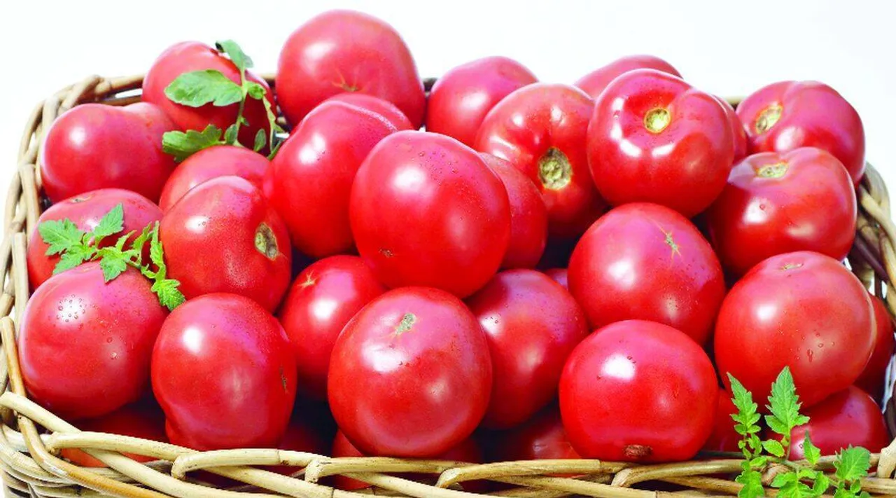tomato prices