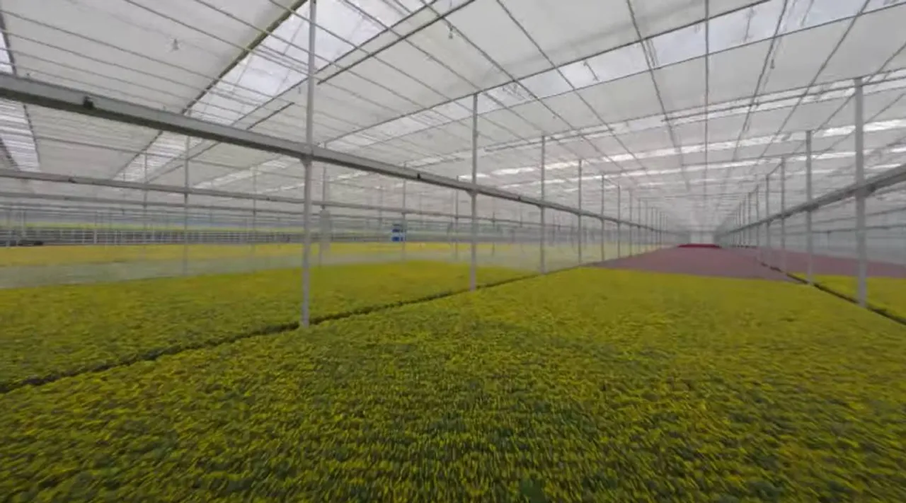 Green house farming