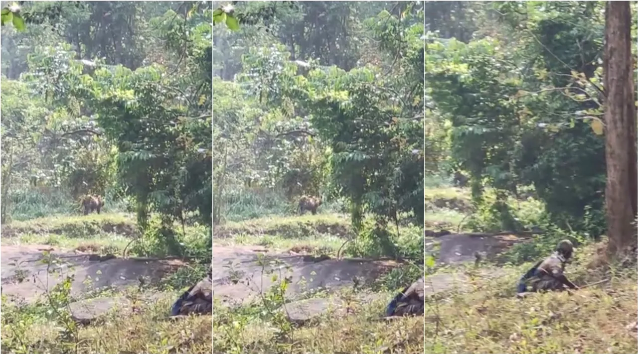 Tiger suddenly arrives at Periyar Tiger Reserve, ambushes anti-poaching guard Video, viral video, பெரியார் புலிகள் காப்பகத்தில் திடீரென வந்த புலி வைரல் வீடியோ, பதுங்கிய வேட்டை தடுப்பு காவலர் வீடியோ, வைரல் வீடியோ, Tiger suddenly arrives at Periyar Tiger Reserve, ambushes anti-poaching guard, viral Video