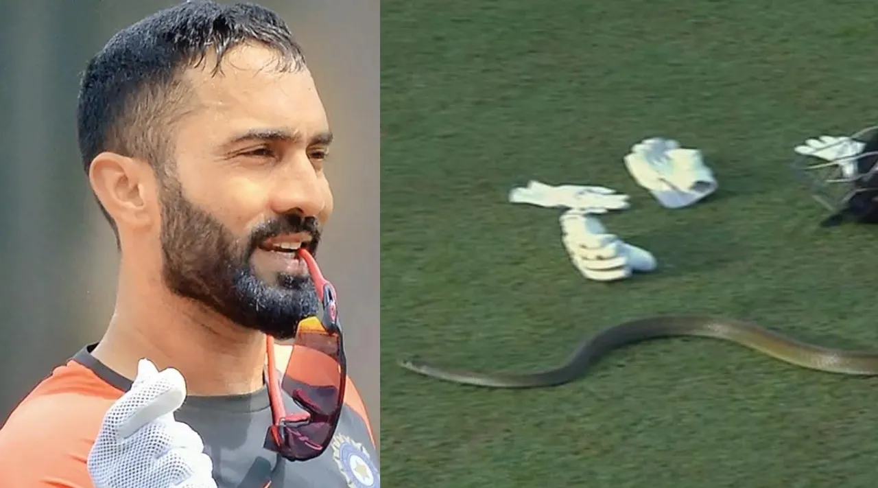 Dinesh Karthik Trolls Bangladesh As Snake Halts Play LPL Tamil News