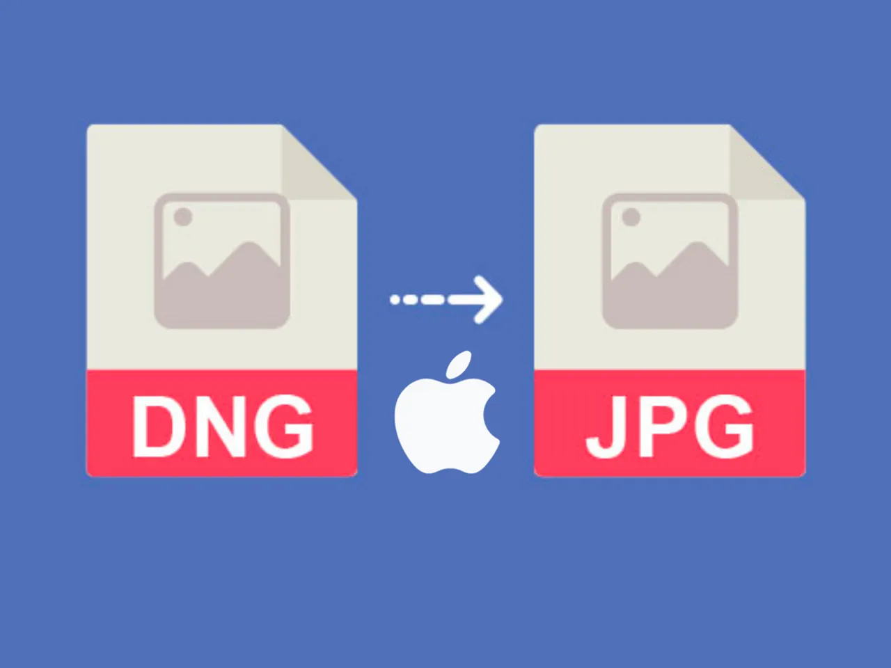 How to Convert RAW (DNG) Photos to JPG on iPhone