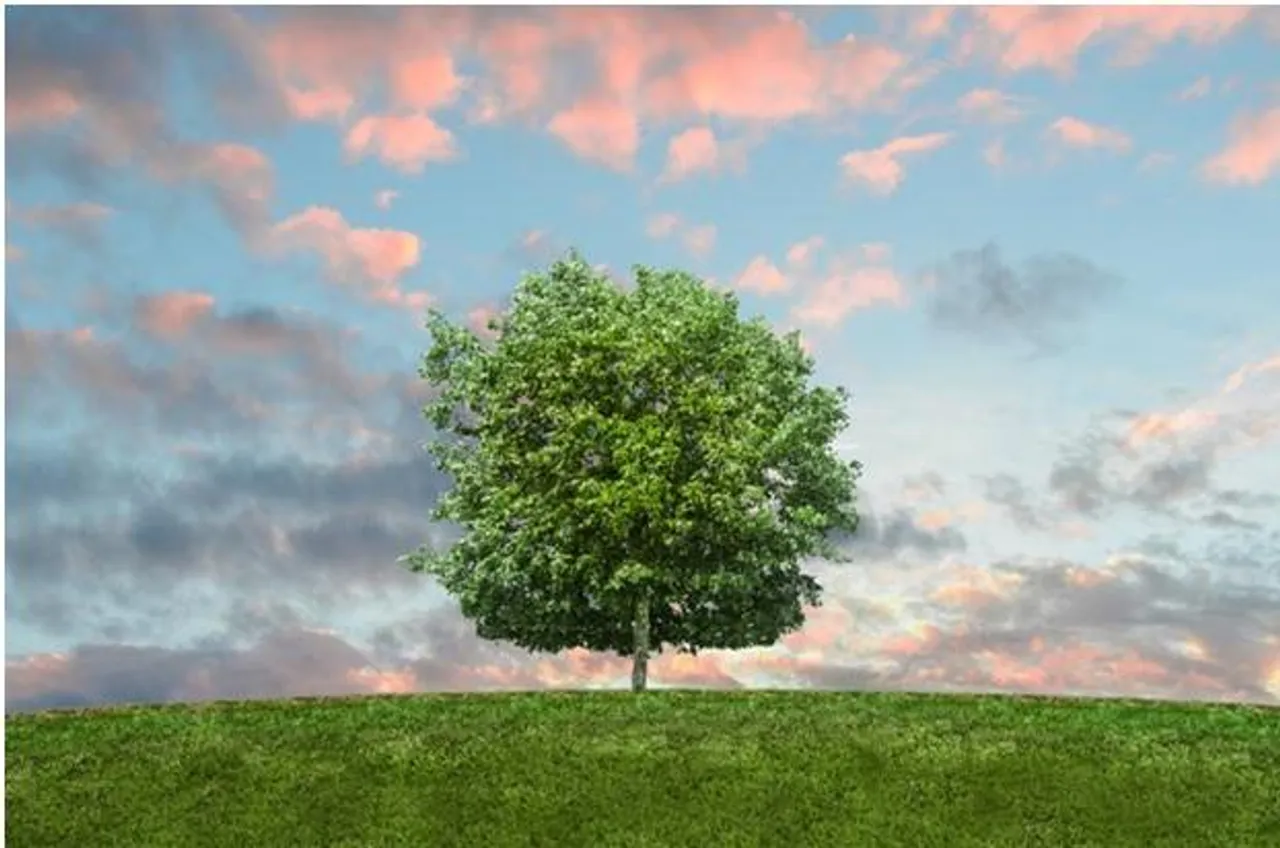 How Globe is Reducing Carbon Emissions to Fight Climate Change