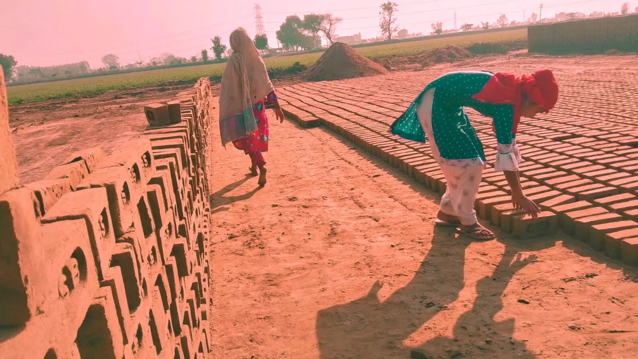 Bonded labour crisis in India