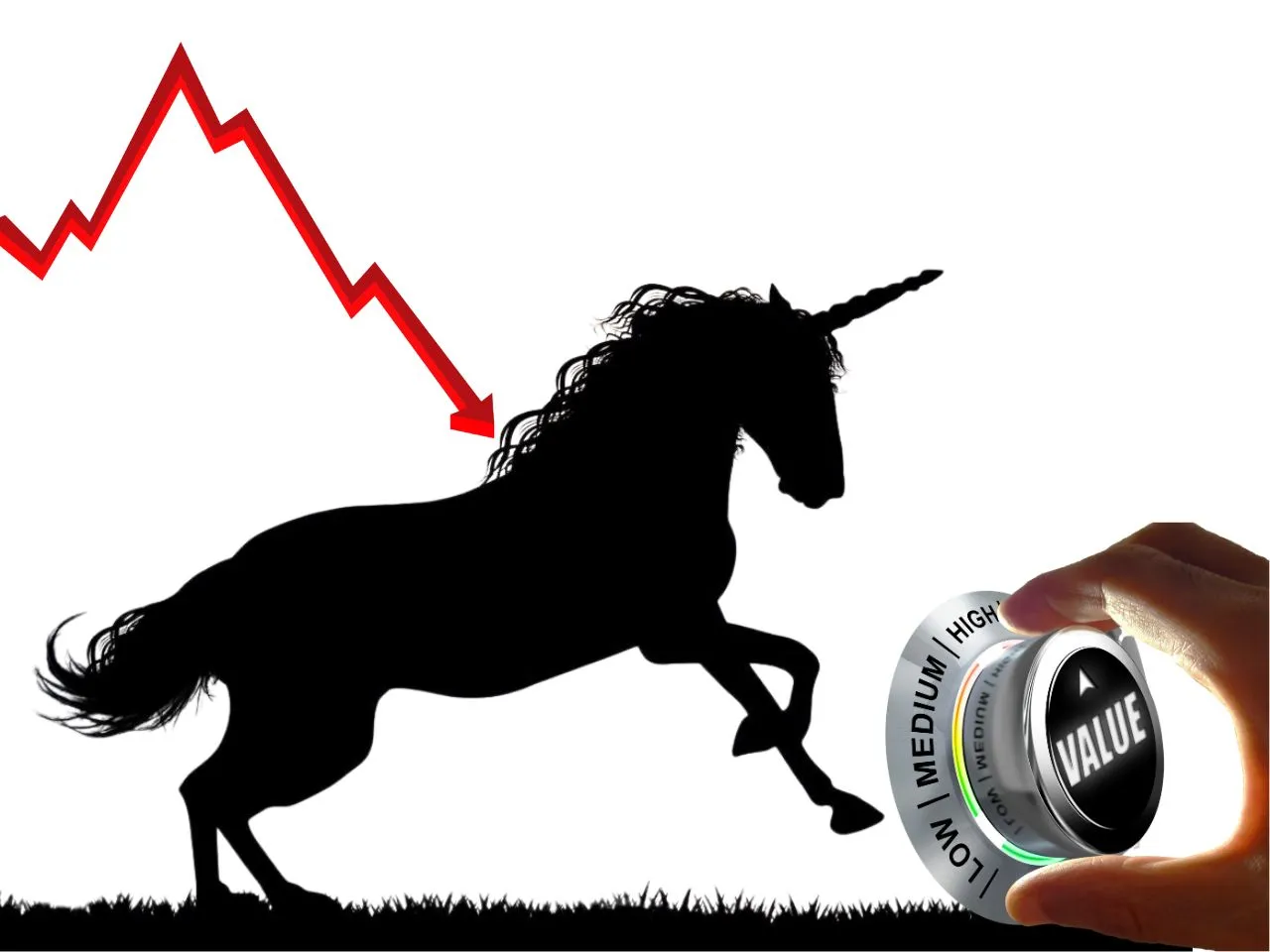 Unicorn Valuation