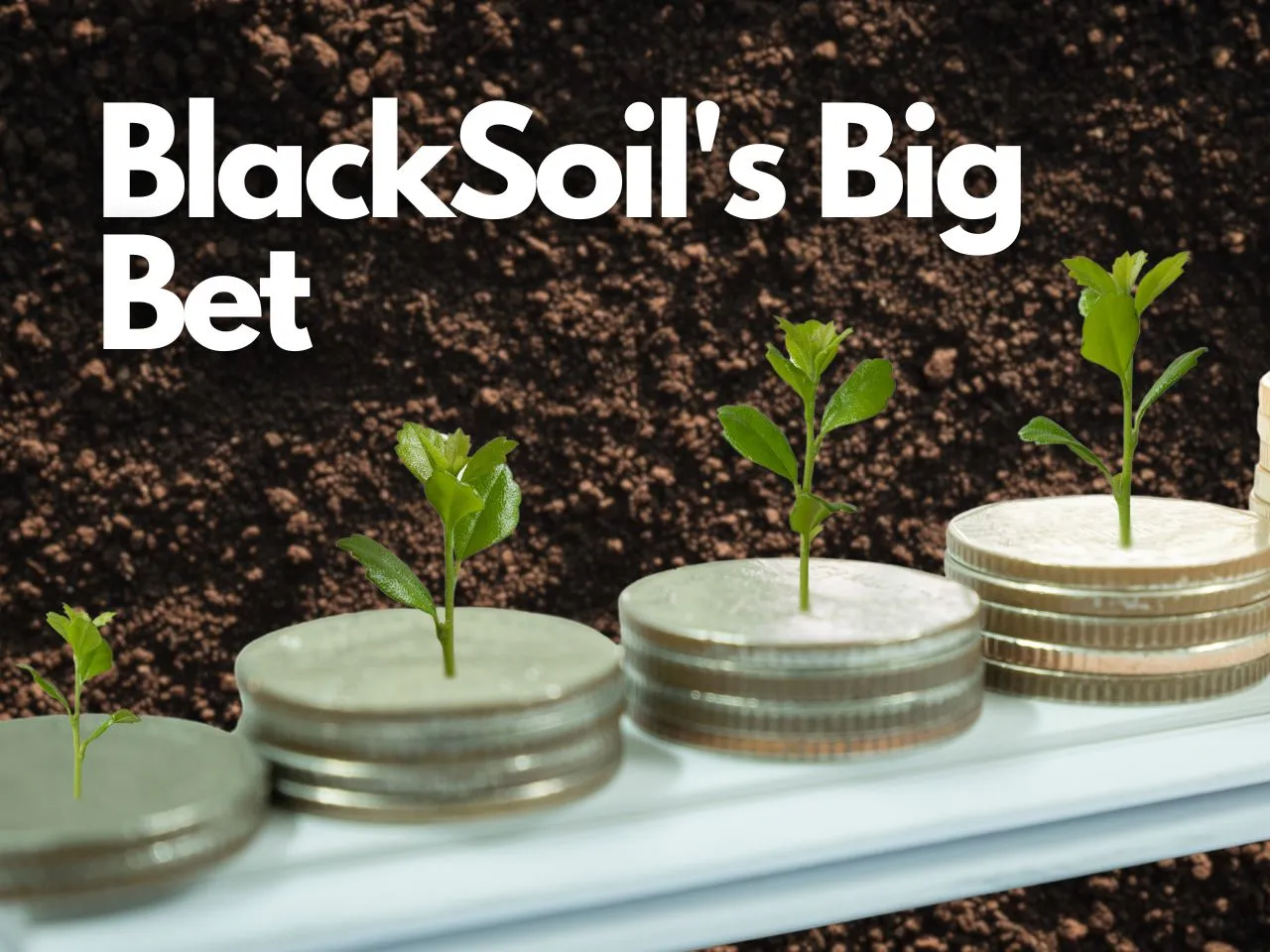 BlackSoil Pumps ₹230 Crore into Indian Startups This Quarter