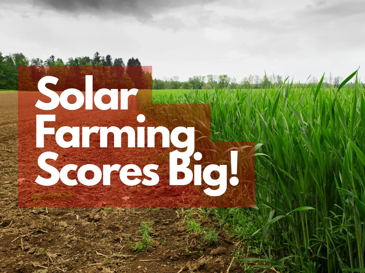 Is Agri-Renewable India’s Next Big Bet? This Startup Funding Hints So
