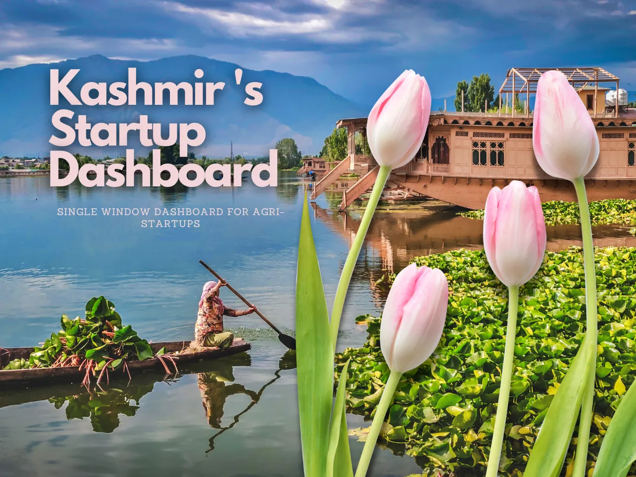 One Stop Dashboard: J&K Startups to Get Many Gifts