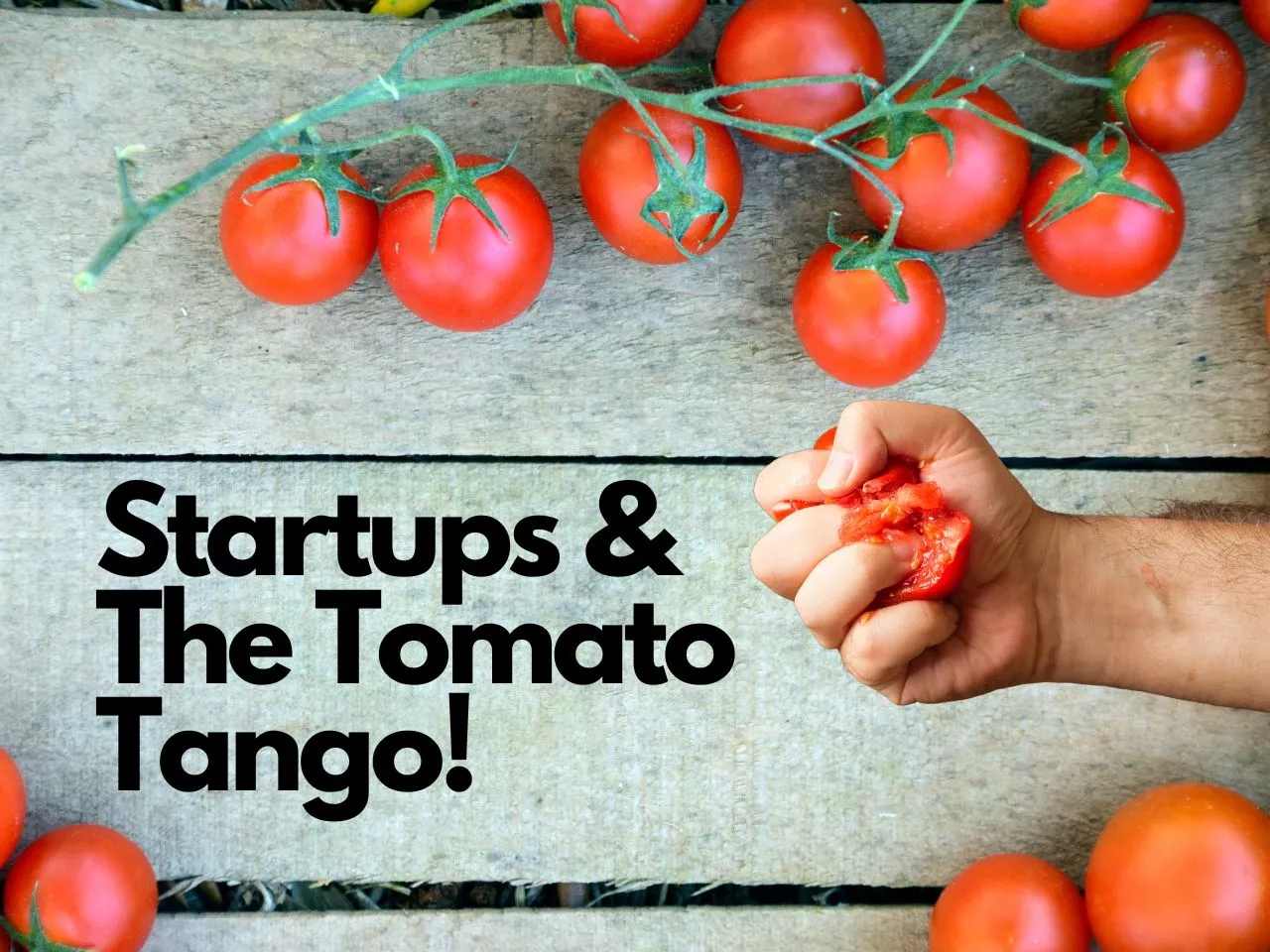 Tomato Tango