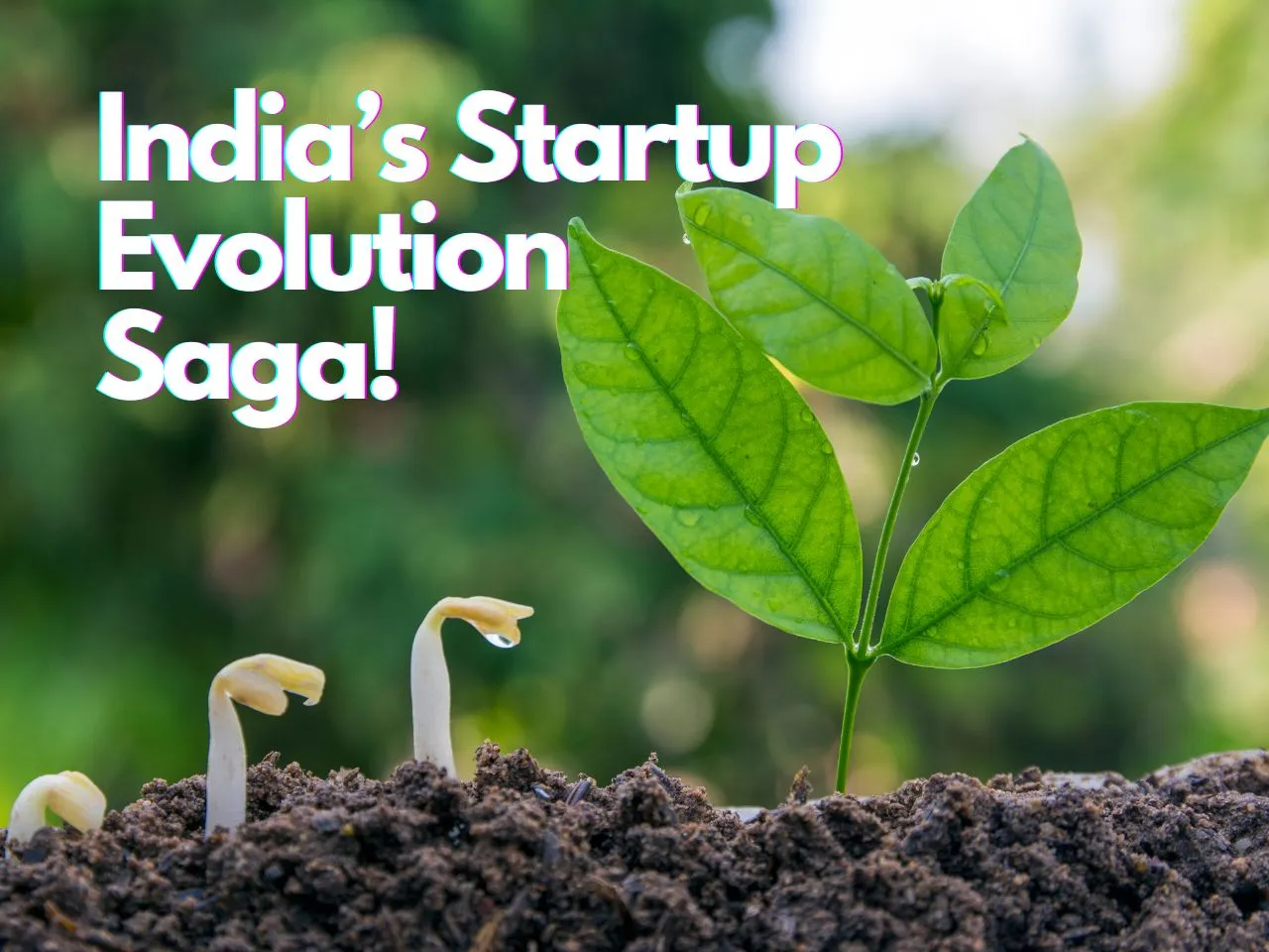 India's Startup Evolution