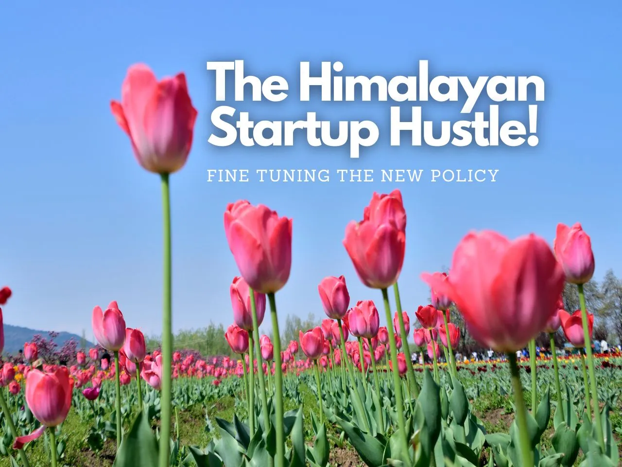 The Himalayan Startup Hustle