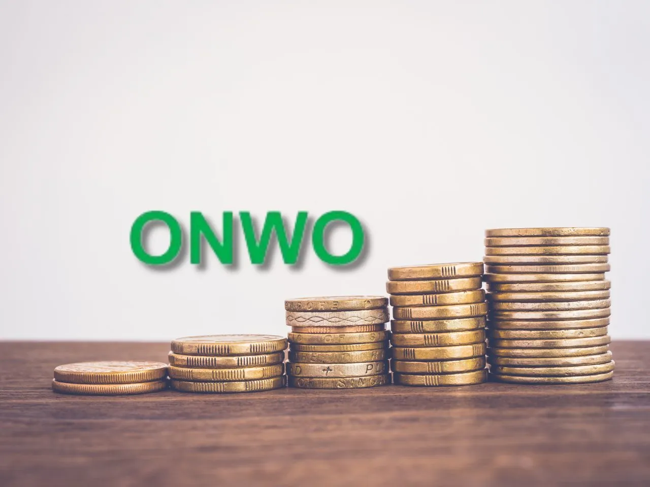 B2B Food Sourcing Startup ONWO Raises $1.6 Million Funding