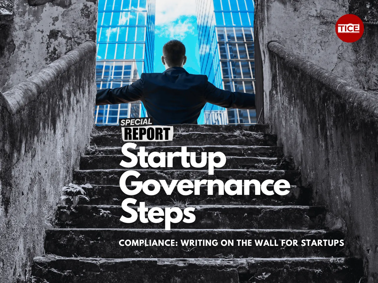 Startup Governance Steps