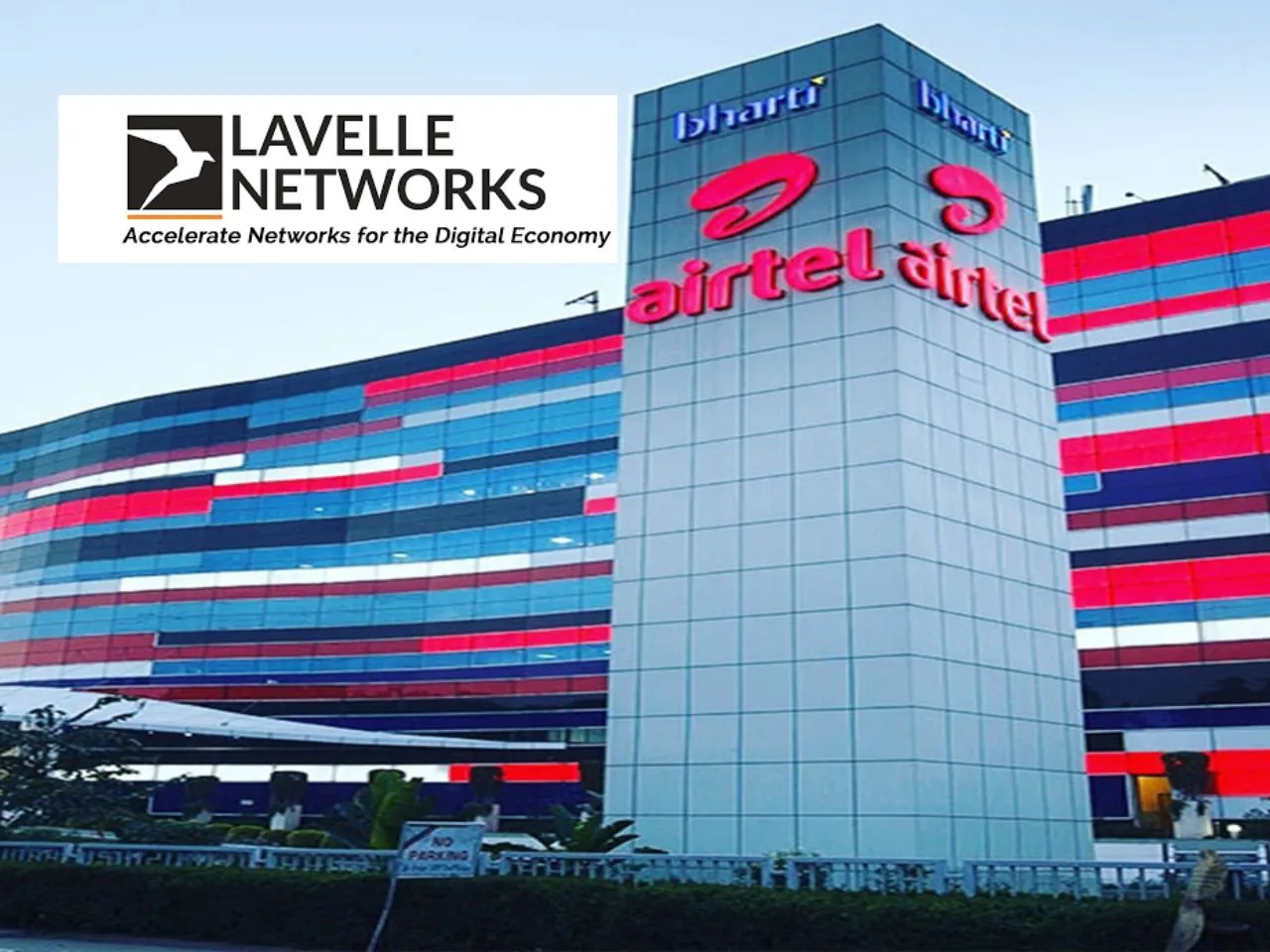 Lavelle Networks