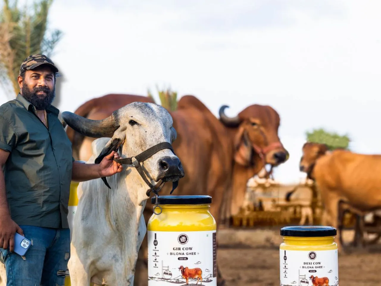 Hebbevu Fresh: The Original Bilona Ghee Makers From Bangalore