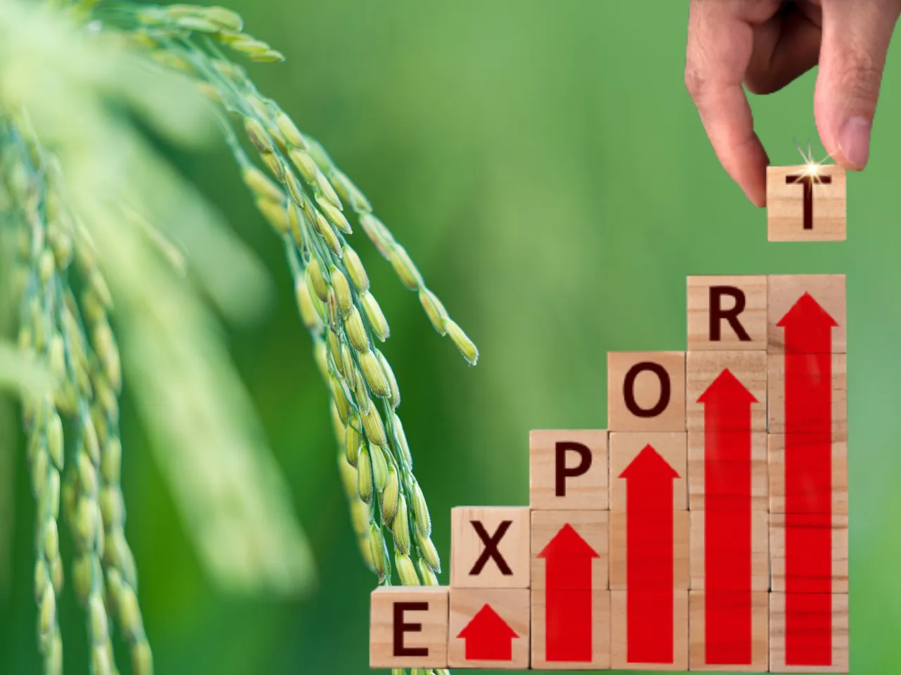 India's Agricultural and processed food products exports up by 16%