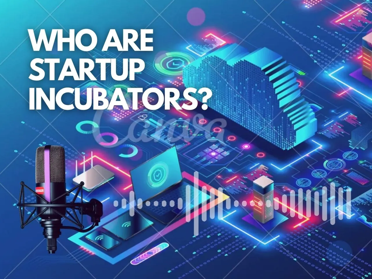 How do Incubation Centers Assist Startups? Fostering and Funding