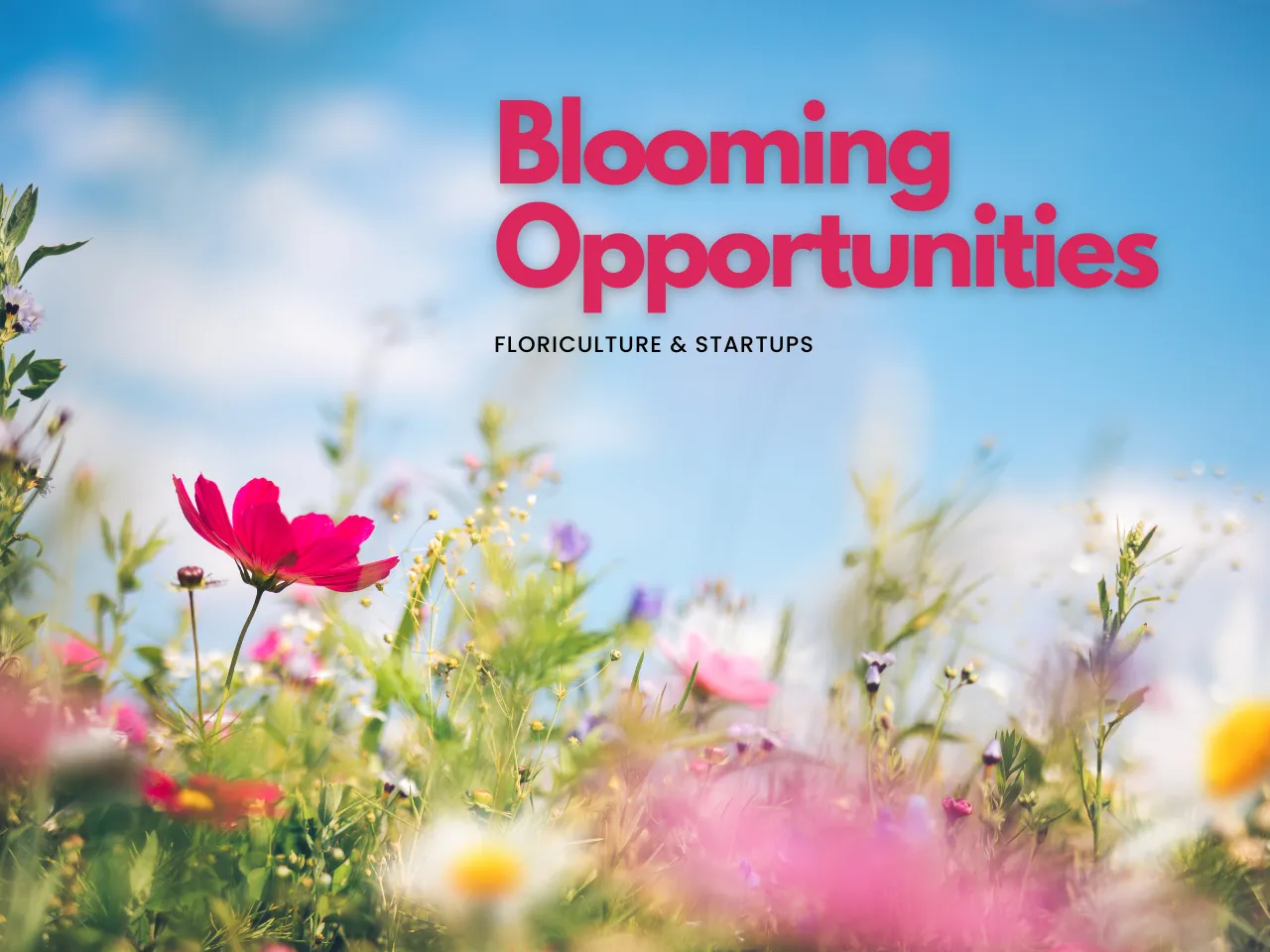 Bloom Into Business: How Floriculture Industry Is Booming In India?