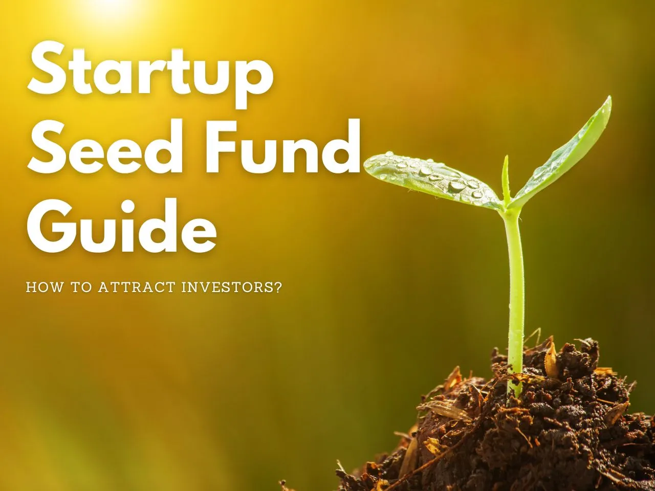 How To Raise Seed Funding For Your Startup? A Guide To Seed Funds!