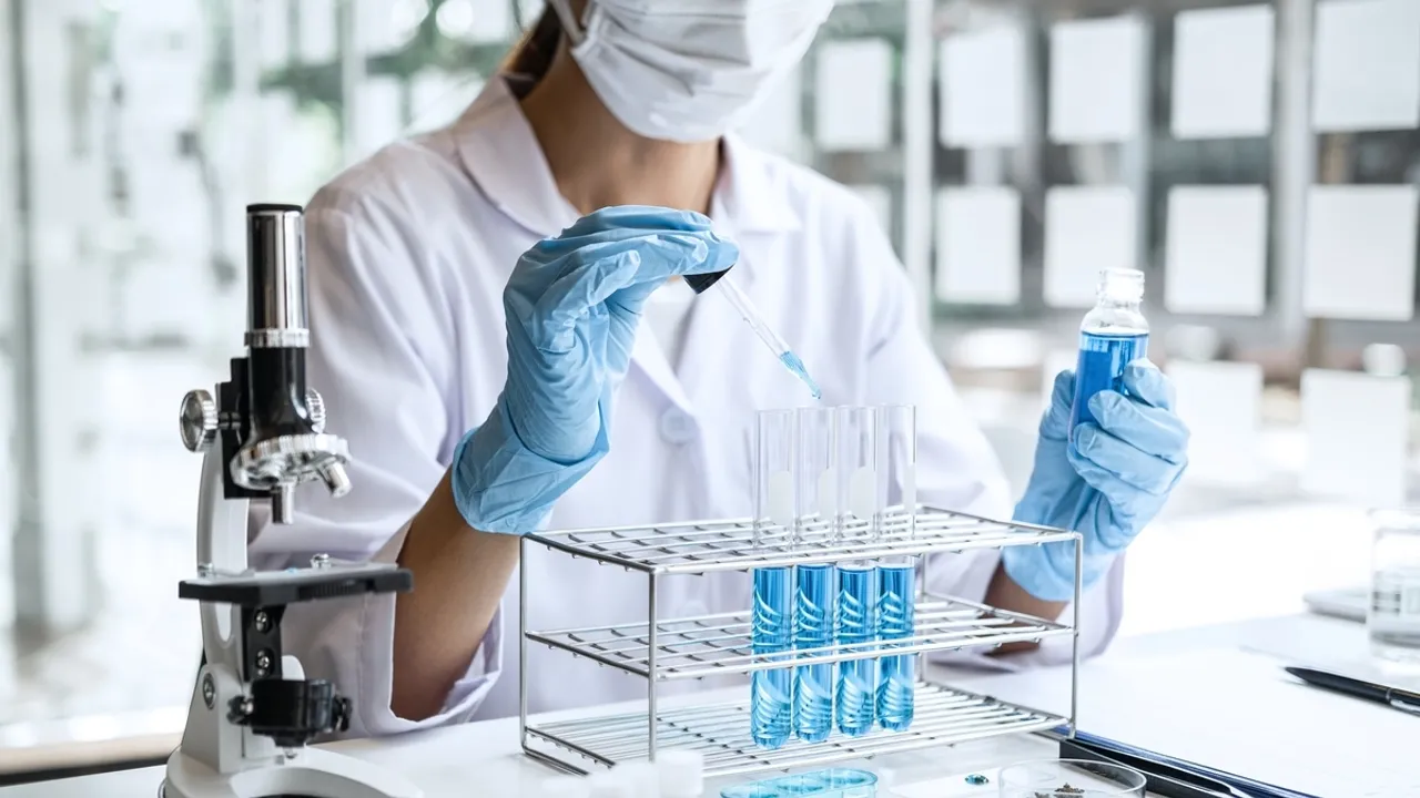 Veterinarians Top Small Breed Dog Food Brands for 2024