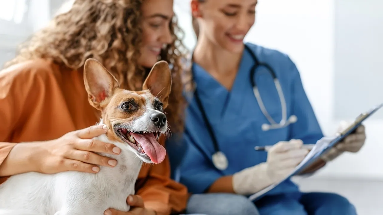 Chubb to Acquire Pet Insurer Healthy Paws from Aon