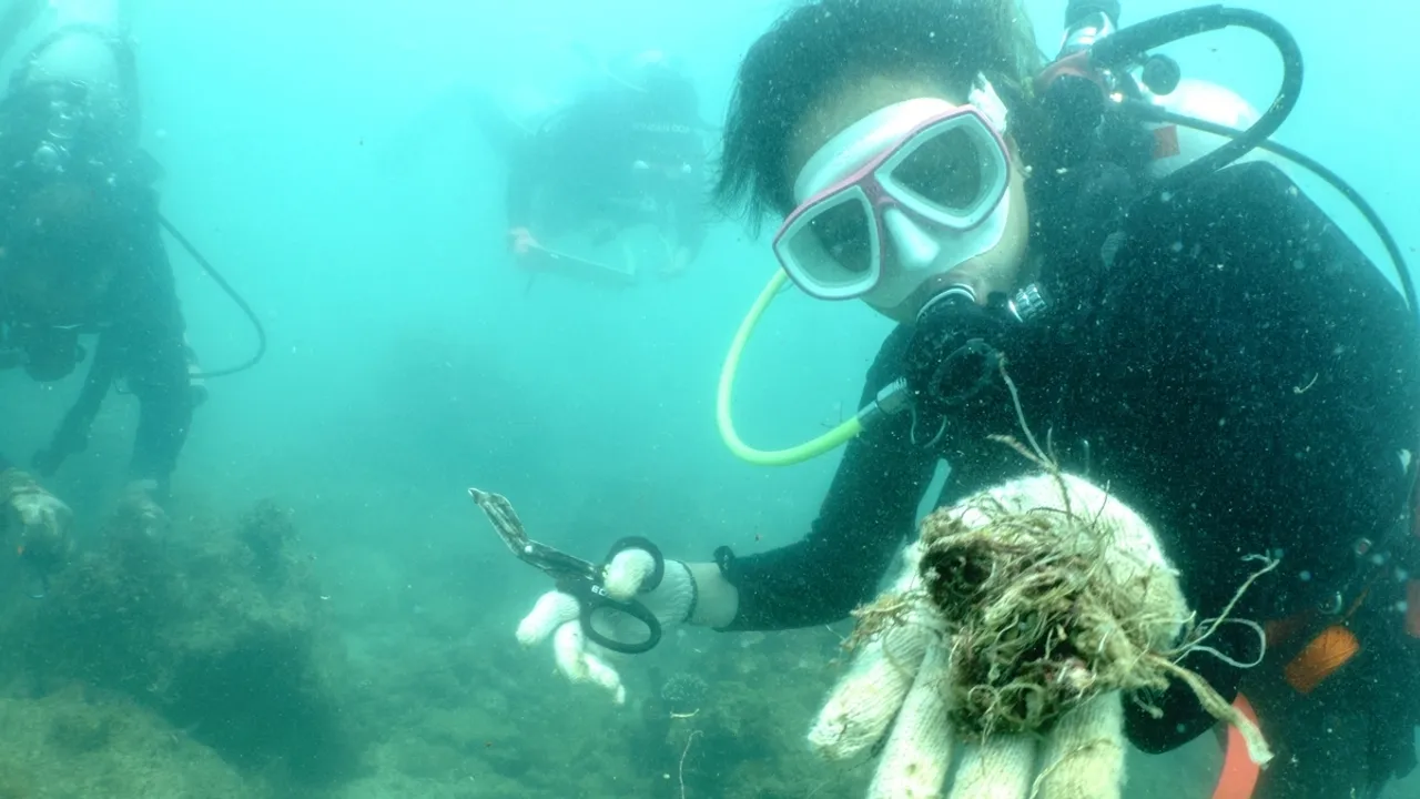 Divers Collect Abandoned Fishing Gear Trapping Sea Life in Phuket, Thailand