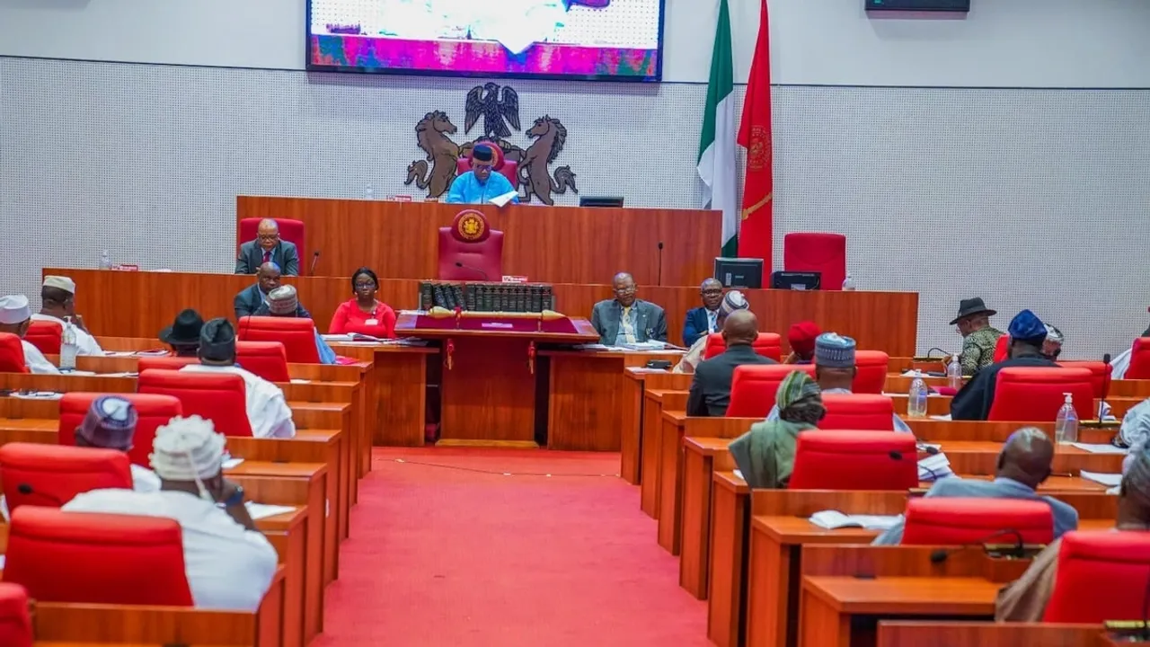 Nigerian Senate to Meet with Power Minister Over 300% Electricity Tariff Hike