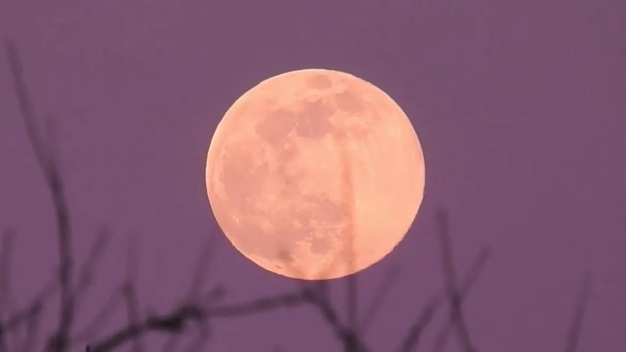 Pink Moon to Illuminate Night Sky from Tuesday Through End of Week