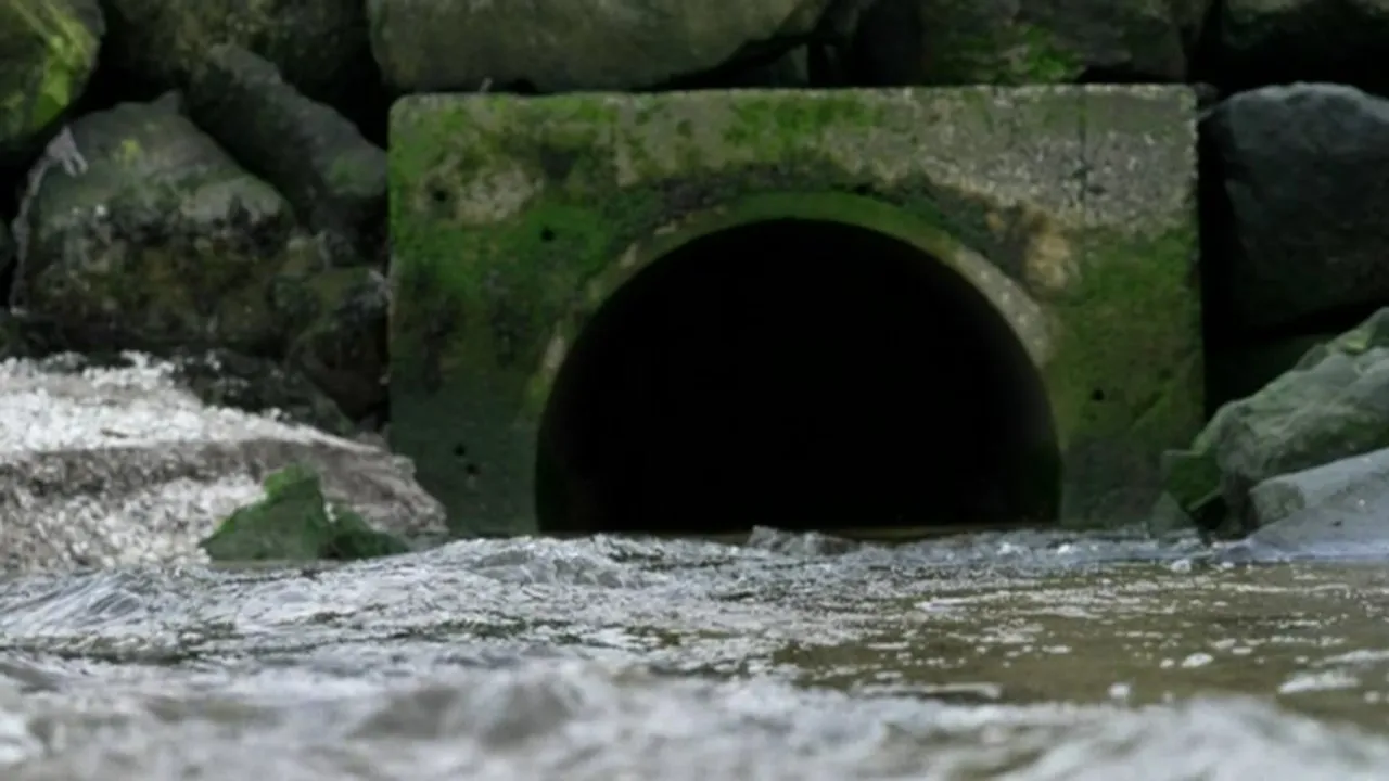 Northern Ireland Waterways Polluted by 20 Million Tonnes of Untreated Sewage Annually