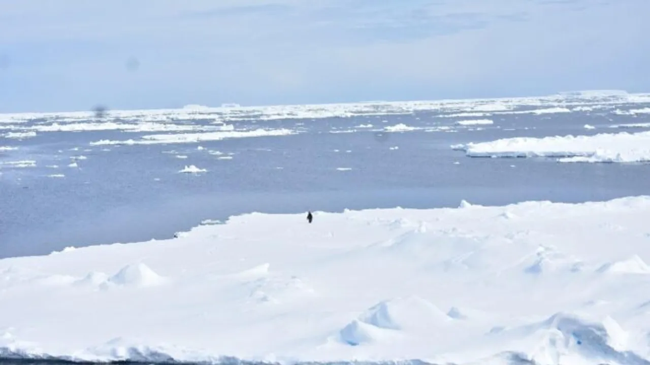 Antarctic Sea Ice Expansion Hindered in 2023 Due to Warming, Wind Patterns, and Cyclones
