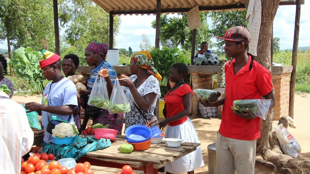 Women Dominate Bulawayo's Informal Sector as Unemployment Drives Growth
