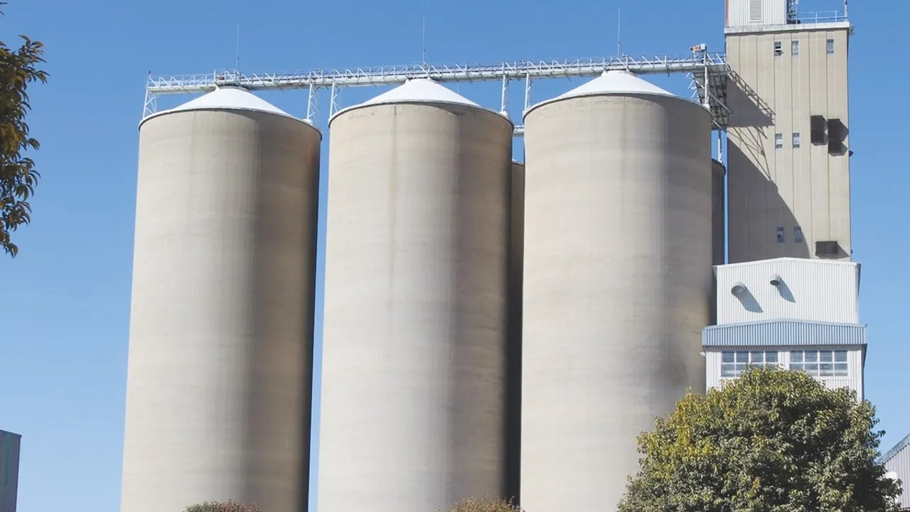 Lesotho Flour Mills Grapples with Surging Maize Prices as Drought Grips Southern Africa
