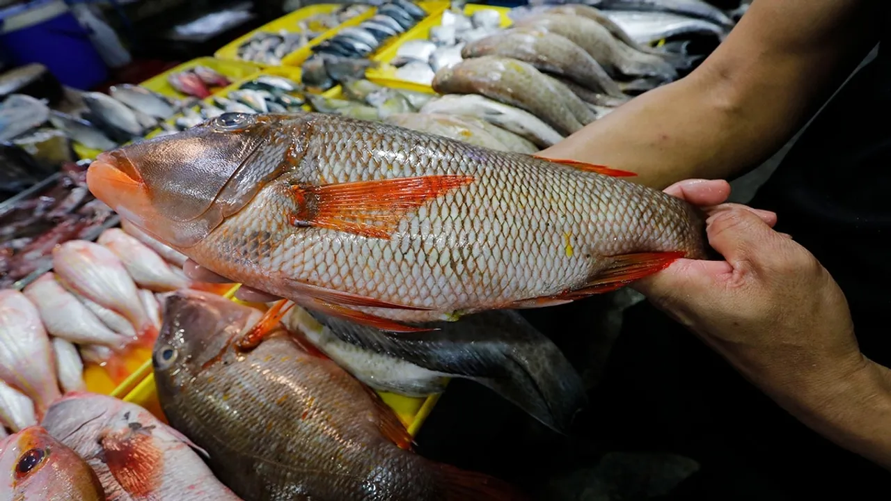 Philippines Issues Guidelines for IMPORTing 25,000 MT of Frozen Fish for Wet Markets